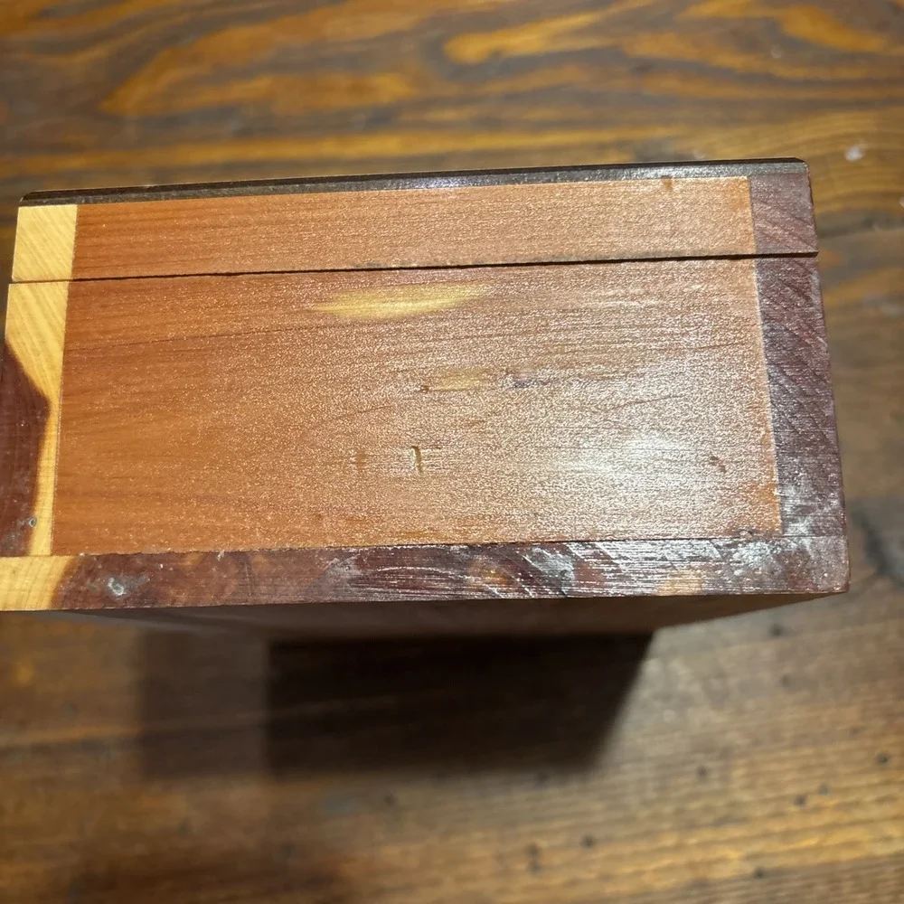 Vintage Kitten Cat Souvenir Cedar Wood Box Travel History Michigan Adventures
